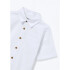 CAMISA MM MASC CAQUI ESCURO