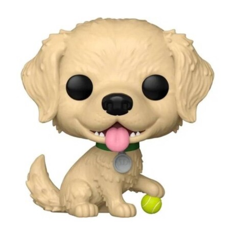Golden Retriever - Pets - 15 Golden Retriever - Pets - 15