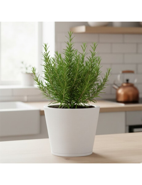 MACETA 34X35CM GENEBRA GRAPHITO BLANCA MACETA 34X35CM GENEBRA GRAPHITO BLANCA