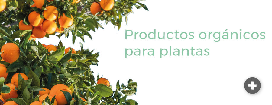 Productos orgánicos para plantas