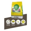 Pastina weber classic juntas 2kg Champagne Pastina Weber Classic Juntas 2kg Champagne