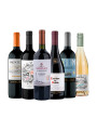Pack Bacán Selección En su salsa x6 vinos Pack Bacán Selección En su salsa x6 vinos