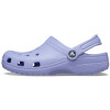 Classic Clog Violeta