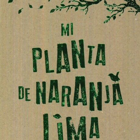 MI PLANTA DE NARANJA LIMA MI PLANTA DE NARANJA LIMA