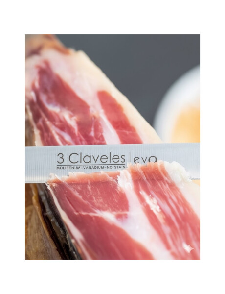 CUCHILLO JAMONERO 25CM CAJA PVC EVO 3 CLAVELES CUCHILLO JAMONERO 25CM CAJA PVC EVO 3 CLAVELES