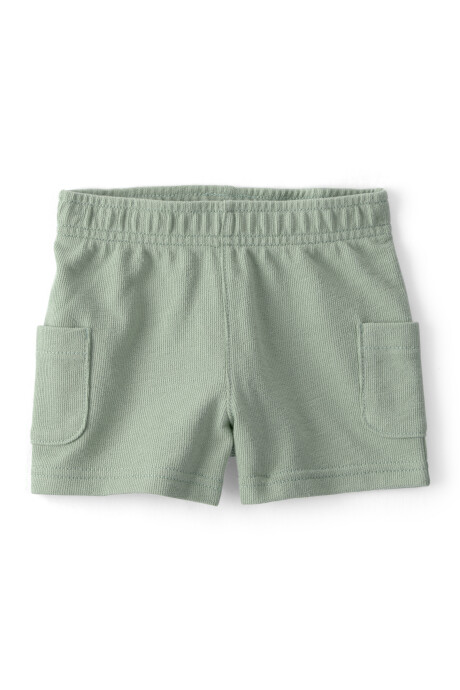 Set dos piezas de algodón, short y remera, verde, iguana bordada. Talles 6-24M Sin color