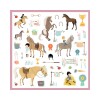 Set de 160 stickers Caballos