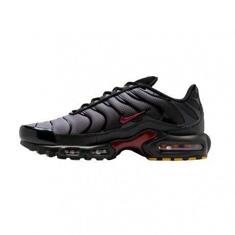 Championes Nike Air Max Plus Gray