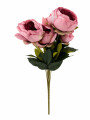 ROSAS ROSA ROSADO
