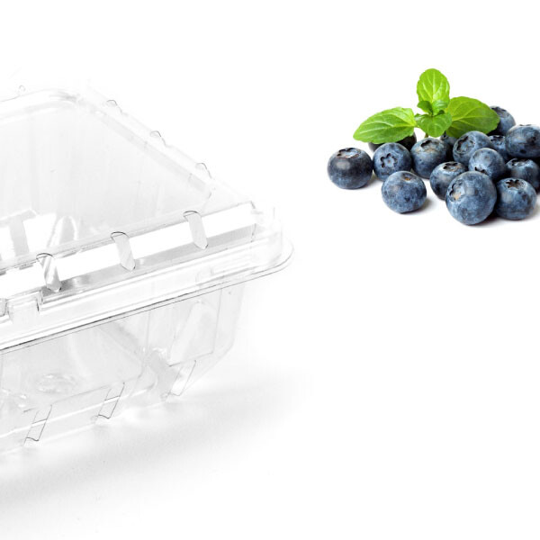 BLISTER BERRIES CON VENTILACION 18X12X6 CM TRANSPARENTE