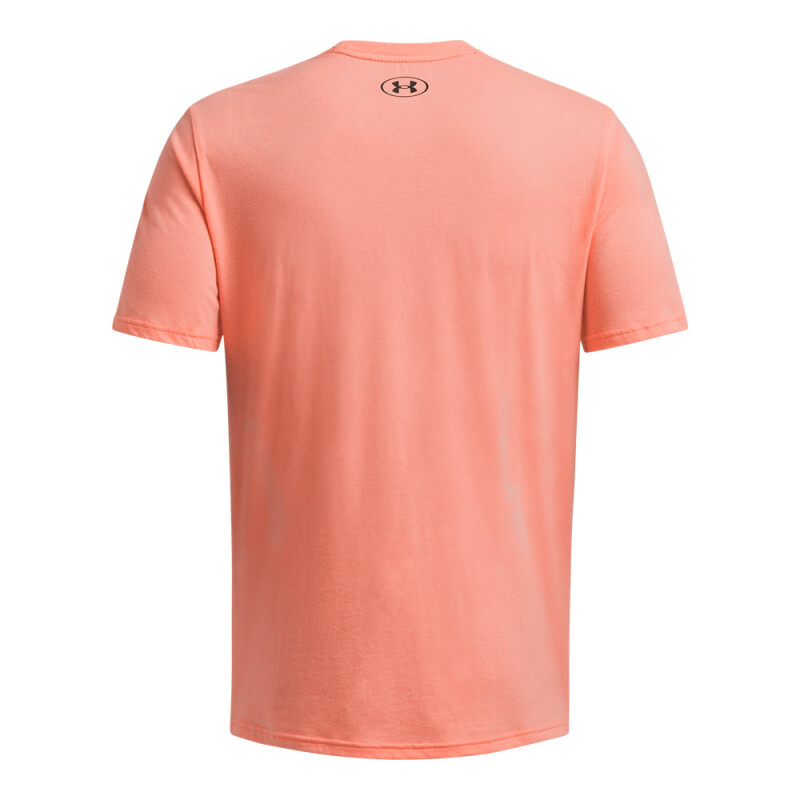 UA Pjt Rck Rspct SS-ORG ORG-896