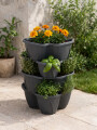 JARDIN VERTICAL NEGRO