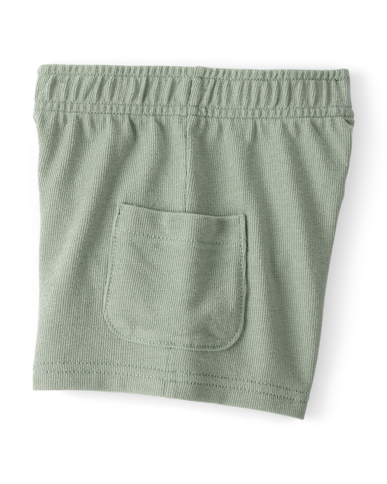 Set dos piezas de algodón, short y remera, verde, iguana bordada. Talles 2-5T Sin color