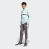 Conjunto Adidas Seasonal Essentials Tiberio Tricot 3 Rayas Multicolor
