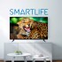 Smart Tv Smartlife Sl-tv43fhdnx24 Full Hd 43" TV 43 SMARTLIFE SL-TV43FHD25T