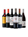Pack Bacán Selección Los más elegidos por su confiabilidad y accesibilidad x6 vinos Pack Bacán Selección Los más elegidos por su confiabilidad y accesibilidad x6 vinos