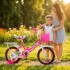 Bicicleta infantil Shengdi Rodado 14 Canasto Parrilla Hadas Rosa 1