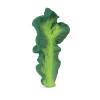 Mordillo Kendall the Kale Oli & Carol Mordillo Kendall the Kale Oli & Carol