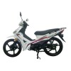 Moto Loncin Visa 110 Moto Loncin Visa 110