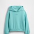 VTG SOFT LOGO PO_FA25 FROSTBITTEN BLUE