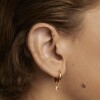 CARAVANAS PDPAOLA PEACH LILY Caravanas Pdpaola Peach Lily