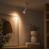 SPOT LED PETIT 2W ALUMINIO REDONDO ADOSAR 3.000K IP20 BLANCO SPOT LED PETIT 2W ALUMINIO REDONDO ADOSAR 3.000K IP20 BLANCO