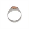 Anillo Profesión Asistente Social -Plata y Oro-Sin Piedra-AP5017 sinpiedra