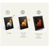 Kit de decoración de pared con luces de animales Kidyneon Kidywolf Kit de decoración de pared con luces de animales Kidyneon Kidywolf
