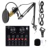 Micrófono Condensador Con Brazo Placa De Sonido V8 Streaming Negro