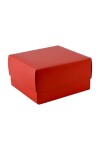Caja Rectangular 15x16x9 cm ROJO