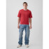 INTL HVY CROP LOGO T CHAKRA RED