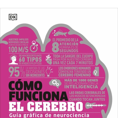 COMO FUNCIONA EL CEREBRO COMO FUNCIONA EL CEREBRO