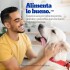 PEDIGREE EN SALSA ADULTO CARNE 100 GRAMOS PEDIGREE EN SALSA ADULTO CARNE 100 GRAMOS