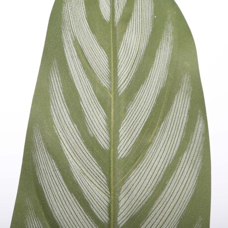CALATHEA ARTIFICIAL Y8 VERDE ARTIFICIAL Y8560-10-4P