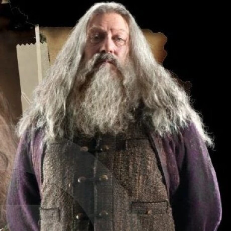Aberforth Dumbledore - Harry Potter - 190 Aberforth Dumbledore - Harry Potter - 190