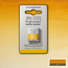 Acuarela profesiona Half Pan - Winsor & Newton Tonos Tierra