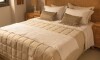 Acolchado mas Fundas Queen - Basic 200 Hilos Beige