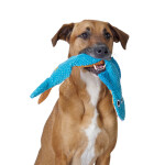 OUTWARD HOUND STUFFING-FREE TIBURÓN FLEXIBLE - AZUL L N/A