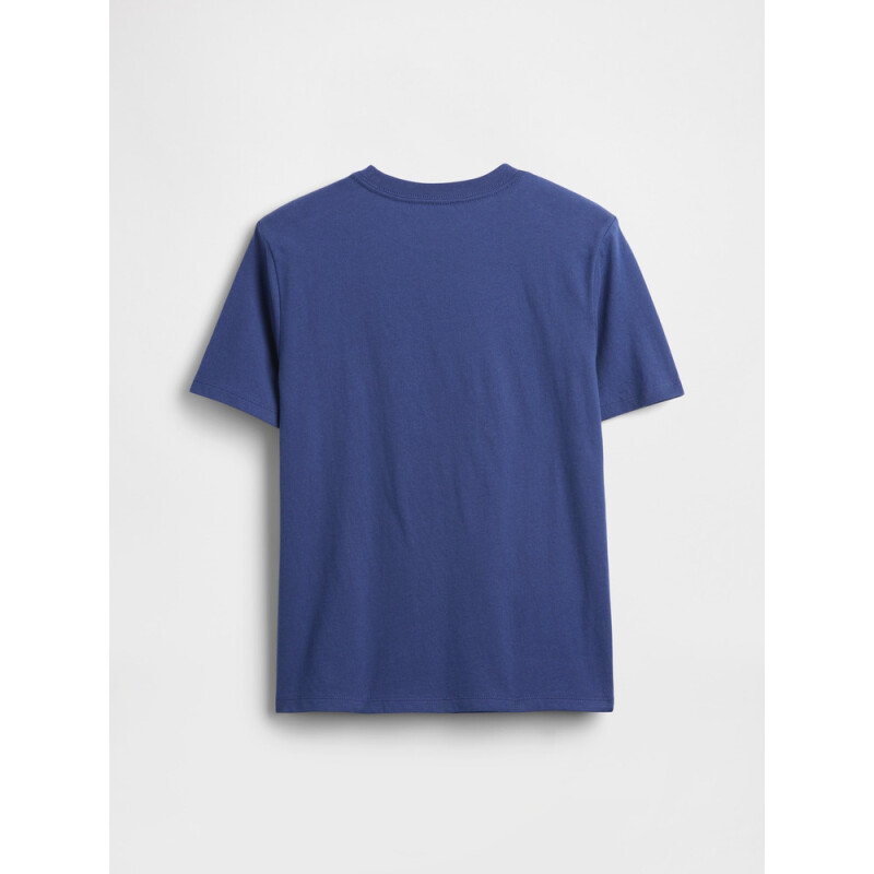FEB SS VALUE GRAPHICS DUTCH BLUE