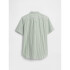 V-SS SHIRTTAIL SARATOGA GREEN
