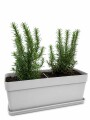 JARDINERA CON ROMEROS GRIS CLARO