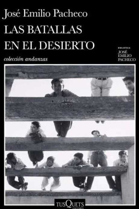 LAS BATALLAS DEL DESIERTO LAS BATALLAS DEL DESIERTO