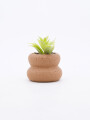 MACETA CERAMICA CON PLANTA BEIGE (V)