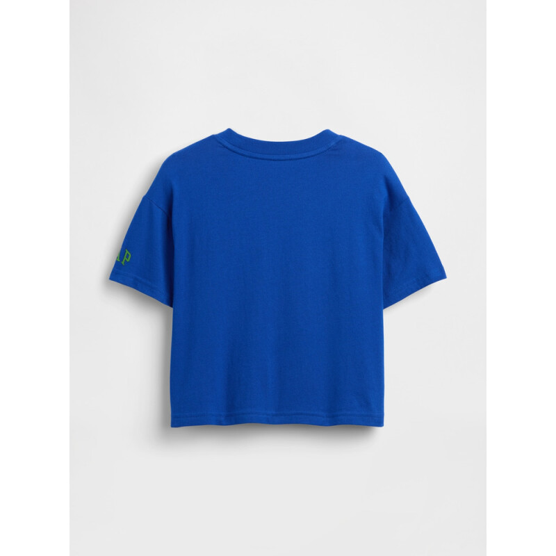 SMB SS BOXY GR TEE YOSHI