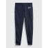 V-HERITAGE LOGO JOGGER MOONLESS NIGHT V2 XXL TAPESTRY NAVY