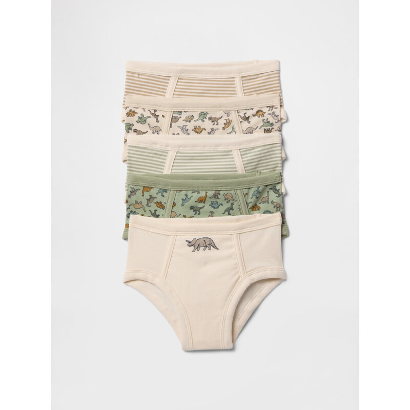 V-TB 5PK UNDRWR DESERT SAGE