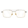 VV600639 doradouniforme