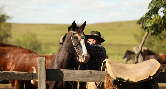 Bombachas de Campo vs Pantalones Cargo: ¿cuál elegir para trabajar duro en el campo?