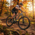 Bicicleta MTB BKE-I-29-LG Randers Kawill R29 21v Negro Gris Bicicleta MTB BKE-I-29-LG Randers Kawill R29 21v Negro Gris