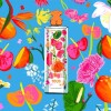 Tous Sorbet Garden Eau de Toilette 90ml - Femenino